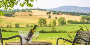 Bild Wandern & Wein