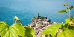 Bild Wandern & Wein