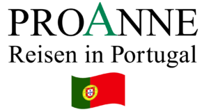 Logo PROANNE