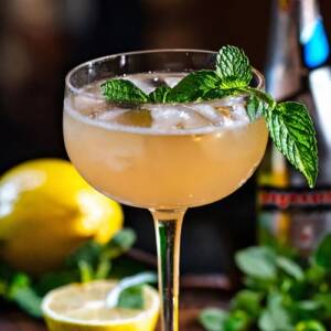 Cocktail