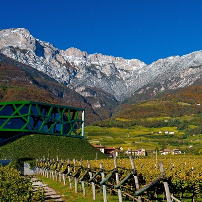 Kellerei Tramin