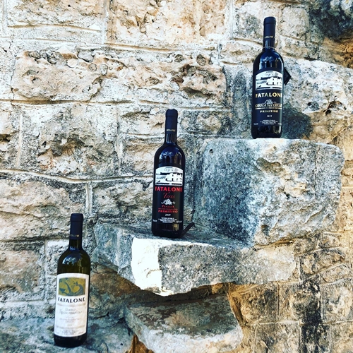 <h1 style="font-size: 20px; line-height: 0.8; margin: 10px 0;">Puglia </h1>  <h1 style="font-size: 20px; line-height: 0.8; margin: 12px 0; display: inline;">Az.Agr. </h1> <h1 style="font-size: 28px; line-height: 0.8; margin: 10px 0; display: inline;">Petrera Pasquale </h1>