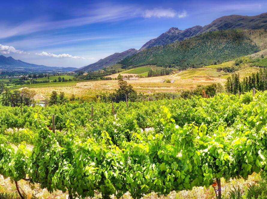 Weinreisen