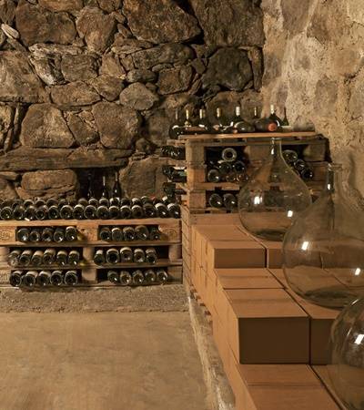 7foto-weingutoberstein-4-4 Weingut Oberstein