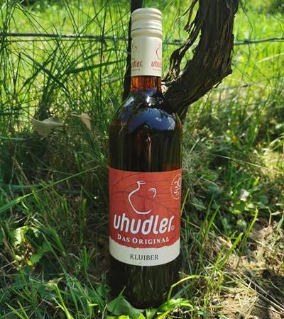 bild-kluiberuhudler-2-4 Weinbau Kluiber