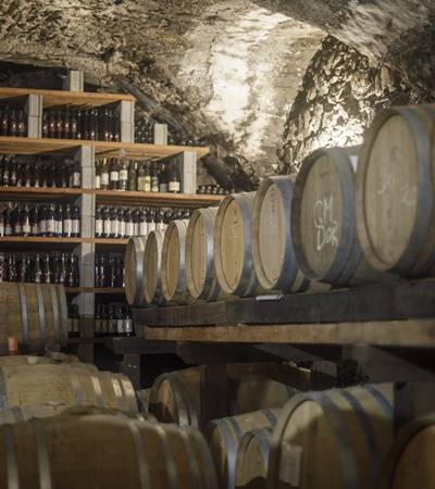 bild-kraenzelhof-4-4 Weingut Kränzelhof