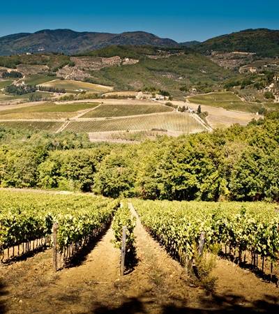 bild-marchesigondi-2-4 Marchesi Gondi - Tenuta Bossi