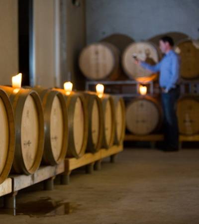 bild-weingut-6-4 Weingut Köbelin