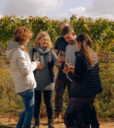 bild-weingutgehring-4-4 Weingut Gehring
