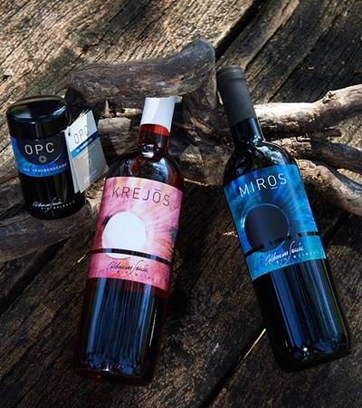 foto-sanin-4-4 Bio.Weingut Sanin