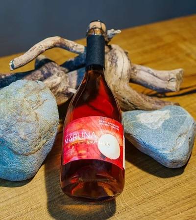 foto-sanin-9-4 Bio.Weingut Sanin