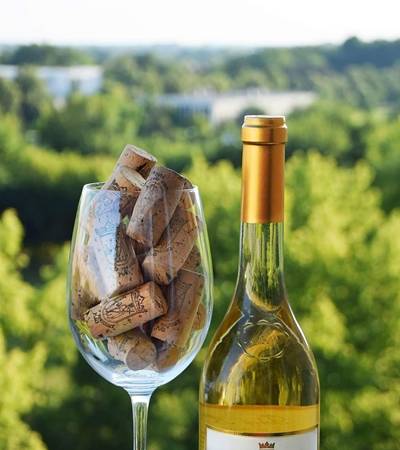 weinglas-4 Camper und Wein