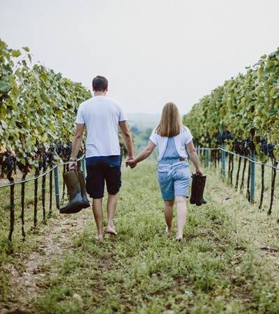 weingut-achs-wendelin-1-4 Weingut Achs-Wendelin