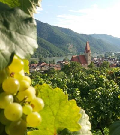 weinreisen (14)-1 weinreisen (14)-1